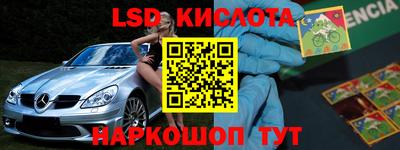 прущие грибы Жуковский