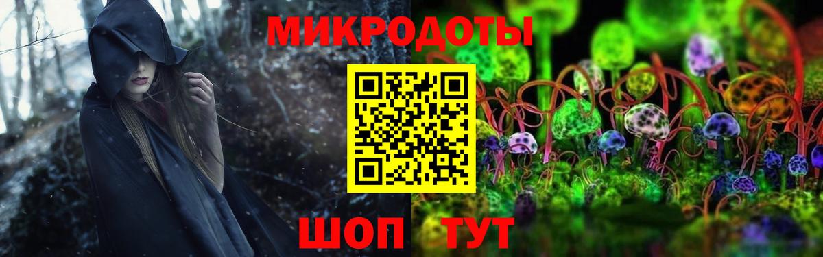 Кстово  Псилоцибиновые грибы GOLDEN TEACHER  закладки  Галлюциногенные грибы Cubensis  Вход с VPN 